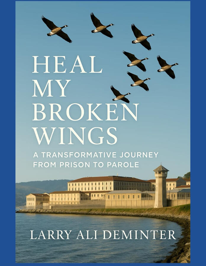 Heal My Broken Wings Heal My Broken Wings
